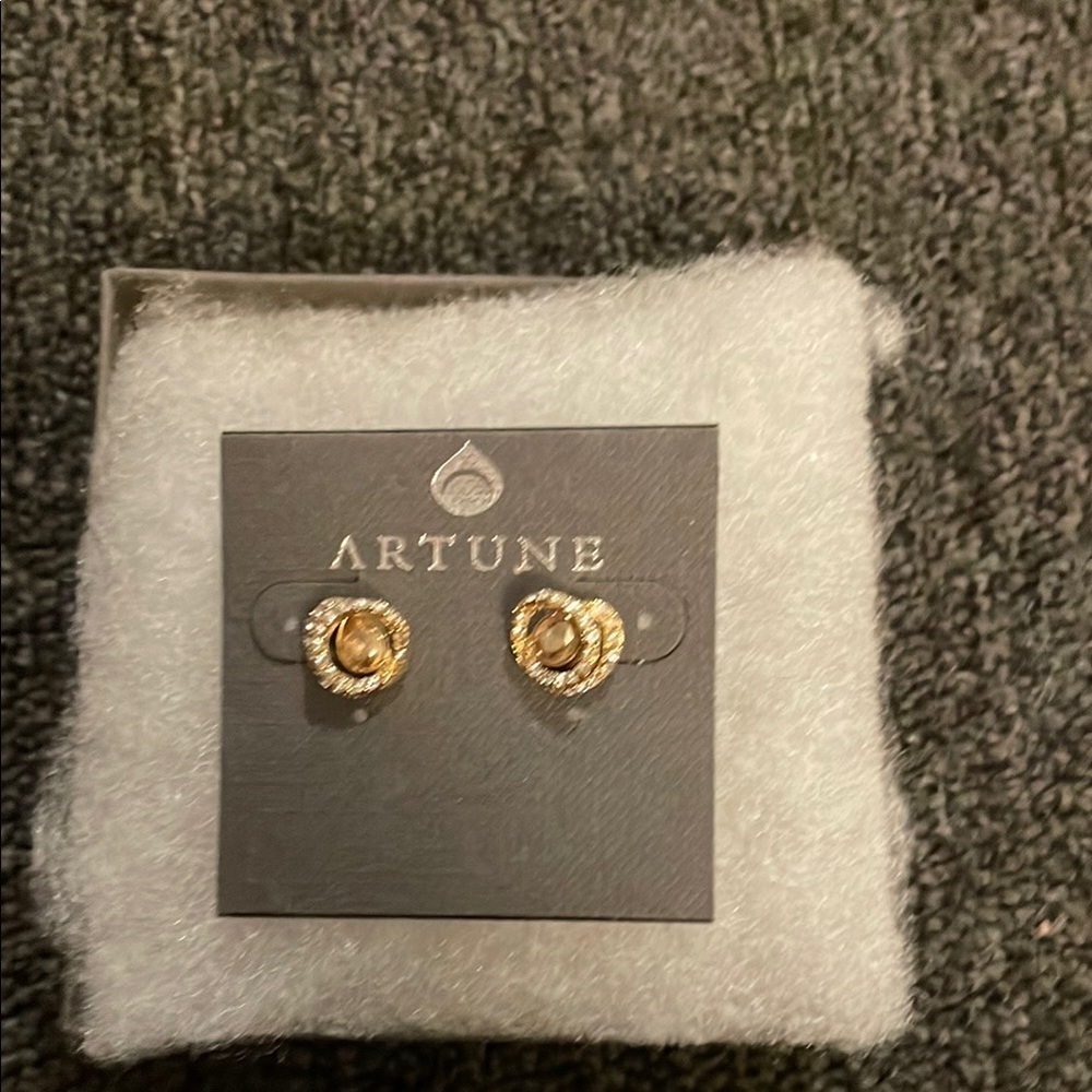 Artune Gold and Silver Earrings